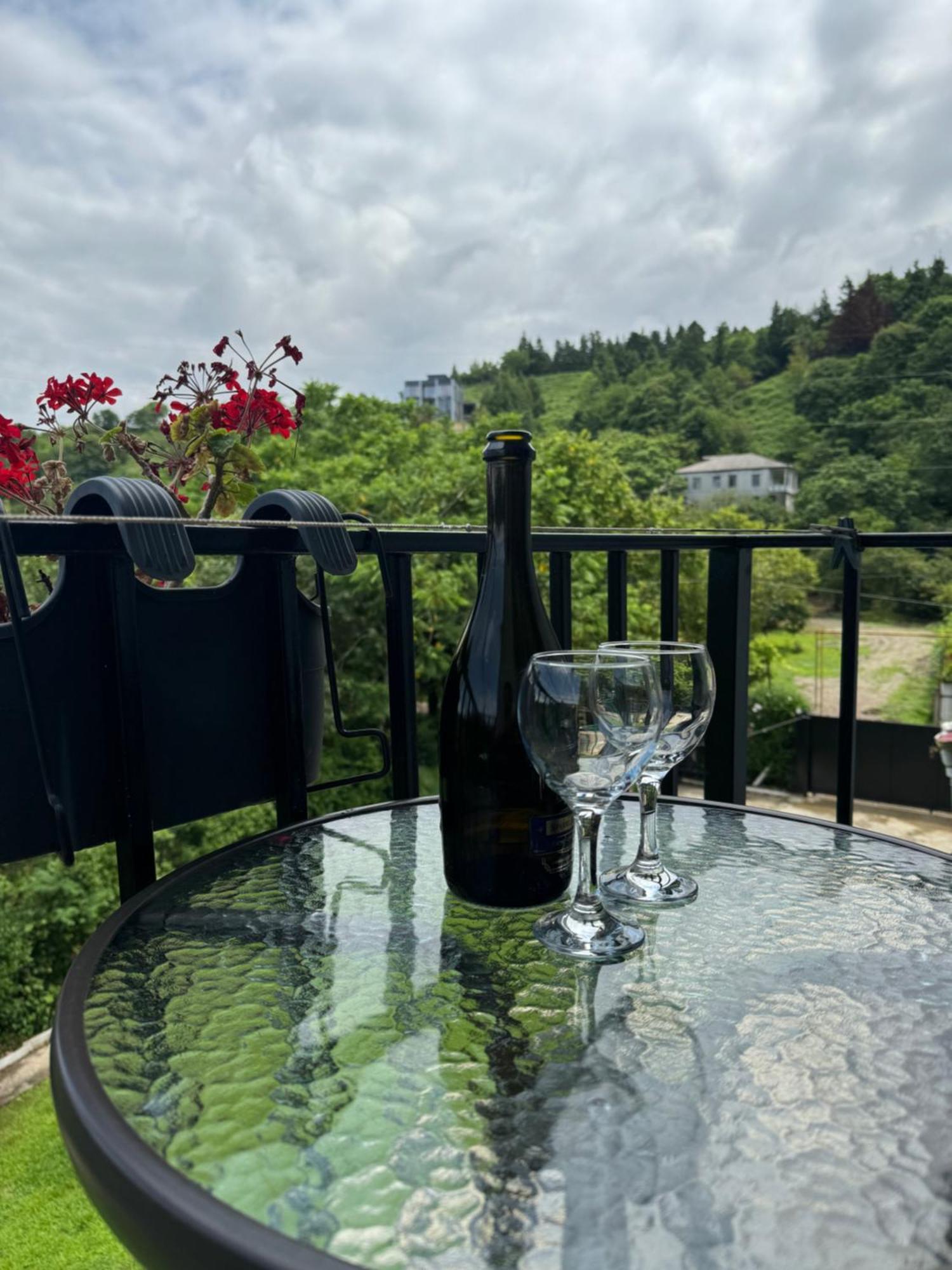 Family Hotel Our House 提斯基斯迪里 外观 照片